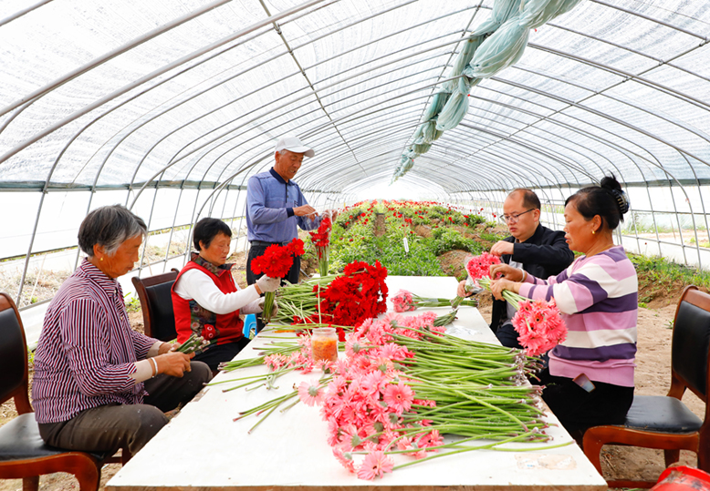 东坎街道三烈村鲜切花生产基地