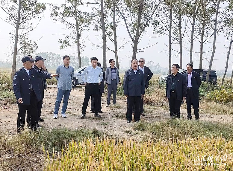 滨淮镇离退休老干部党支部开展主题党日活动