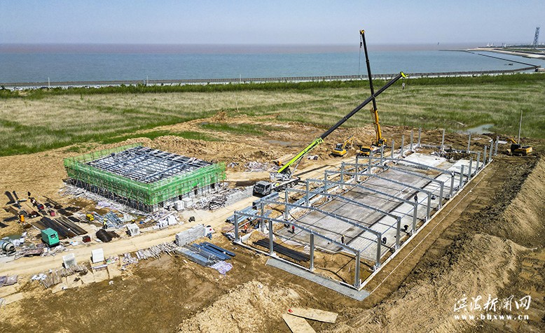 陶湾·海洋牧场冷水鱼智能化养殖项目建设现场
